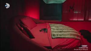 Camdaki kız ın özeti zeynep hikayesi ile ilgili 1 haber listeleniyor. Dlpyoyyl63fcrm