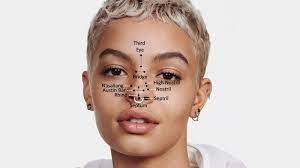This piercing is typically worn with a straight barbell. Your Guide To All Types Of Nose Piercing The Trend Spotter