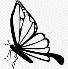 Check spelling or type a new query. Butterfly Side View Drawing Png Image With Transparent Background Toppng