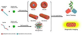 Molecules Free Full Text Peptide Based Nanoassemblies In Gene Therapy And Diagnosis Paving The Way For Clinical Application Html