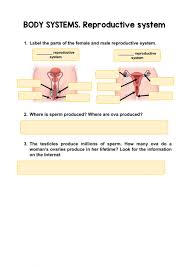 Identify reproductive parts of the flower. Reproductive System Online Activity
