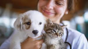 Will you help the Ute Mountain Ute Reservation in Colorado get the vet care  they need? **