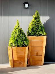 Pin On Gardening