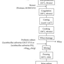 Flowchart Of The Cheese Making Process Download