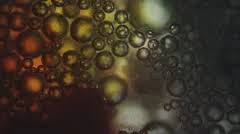 As the paper towel absorbs the liquid, the dye should be pulled under the cover and across the specimen. Wet Paper Under Microscope Stock Video Pond5
