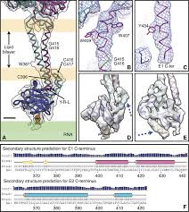 The things it was saying i lied about lots of problems there. E1 And E2 Endodomains And Their Interactions With The Cps A Our Download Scientific Diagram