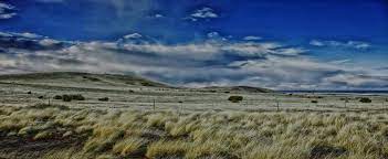Car Rental Las Cruces - Mesilla Valley Mall Avis Rent A Car