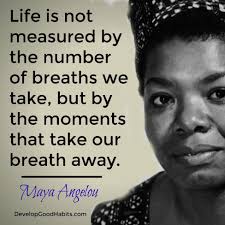 91 Success Quotes From History S Most Famous People Famous Inspirational Quotes Maya Angelou Quotes Wisdom Quotes He, the man of violent energy and passionate ambition, the man of achievement, lighted by the flame of his success and flung into the midst of those pretentious ashes. famous inspirational quotes maya
