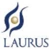 They take the time to try and understand my company and our staffing needs. Laurus Consulting Talent Hunter Linkedin