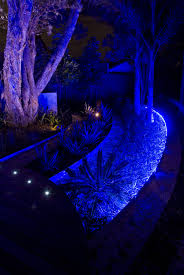 Great Use Of Blue Led Lights Behind Aluminium Rite Edge Garden Edging Blue Led Lights Outdoor Garden Edging