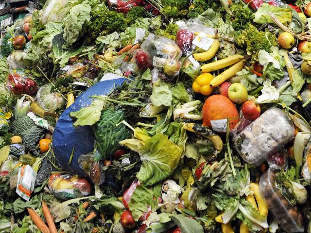 Image result for food waste"