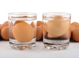 Check spelling or type a new query. How To Tell If Eggs Are Good Use This Quick Test Eat This Not That