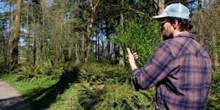 If you are out of the woods, you have emerged safely from a dangerous situation, though the idiom is often used in the negative. How To Get Started Geocaching Rei Co Op