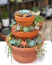 Succulent Triple Stacker Succulent Display Serragardens Succulents Succulent Container In 2020 Succulents Succulent Gardening Succulent Garden Design