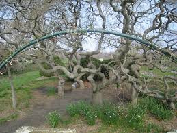 Número de identificação do vídeo 1022463721. Harkness Memorial State Park A Connecticut State Park Located Near Colchester Groton And Mystic