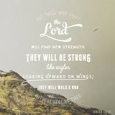 But Those Who Trust In The Lord Will Find New Strength They Will Soar High On Wings Like Eagles They Will Run Wait Upon The Lord Verse Of The Day Bible