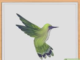 Maybe you would like to learn more about one of these? How To Draw Hummingbirds 7 Steps With Pictures Wikihow