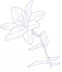 We did not find results for: Sketsa Gambar Bunga Kertas Gambar Bunga