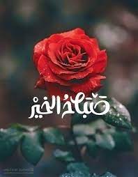 بطاقات صباح الخير صوره صباح الخير صباح الخير تويتر فيس بوك 2020 flowers plants rose
