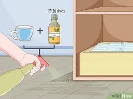 4 Ways To Make Rat Poison Wikihow