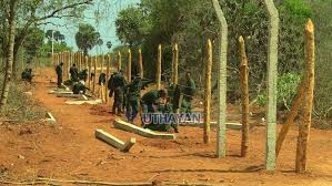 Image result for மயிலிட்டிக் கிராமம்