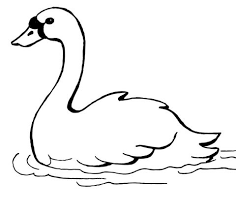 Swan Swimming Coloring Page Free Printable Coloring Pages Free Printable Coloring Pages Free Printable Coloring Animal Coloring Pages