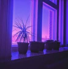 Plants Aesthetic Purple 68 New Ideas Purple Aesthetic Violet Aesthetic Aesthetic Colors