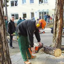 Im betrieb, wo die auszubildenden die gärtnerische praxis von der pike auf lernen, und in der berufsschule beim theoretischen unterricht. Garten Und Landschaftsbau Bildungsmarkt De