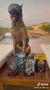 Call-of-Duty Rex showcasing...