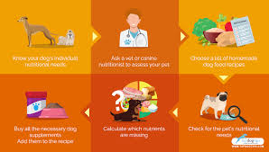 What is the best vitamin supplement for dogs? Dog Supplements For Homemade Dog Food Here S What You Need