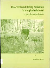 Image result for Secamone dewevrei