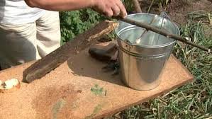 This is 100% humane mouse trap. How To Make Best Homemade Rat Trap To Get Rid Of Nasty Rodents