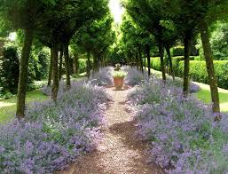 Pin Pa Love Your Garden I
