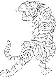 Black And White Japanese Tiger Tattoo Designs Drawn White Tiger Japanese Pencil And White Tiger Tattoo Tiger Tattoo Design Ribcage Tattoo