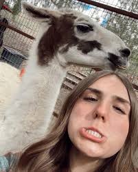 holy cow, u should hug a cow 🐄 @thegentlebarn