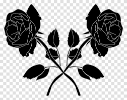 Black flower branch vine flower vine. Black Roses Floral Design Pattern Transparent Png Pngset Com