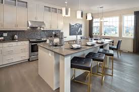 Builder Homes By Avi Edmonton Designer Mirriah Cusack Finish Fusion Alabaster Doorstyle Europa Hand Kitchen Design Kitchen Photos Contemporary Kitchen