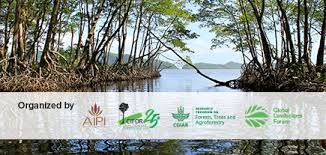 Versi mudah dibaca vmd 2006: Padang Rumput Di Laut Yang Terlupakan Cifor Forests News