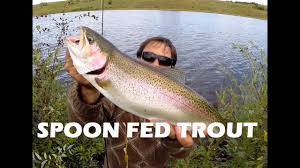 how to catch rainbow trout with spoon