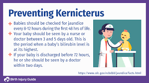 Image result for Kernicterus