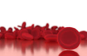 Darah adalah jaringan cair yang terdsiri darai dua bagian, yakni bahan interseluler dan sejumlah bahan organik. Penjelasan Bagian Darah Manusia Eritrosit Leukosit Trombosit Dan Fungsinya Semua Halaman Bobo