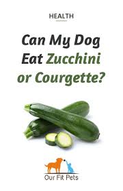 Is zucchini ok for dogs. Can My Dog Eat Zucchini Or Courgette Our Fit Pets Dog Eating Foods Dogs Can Eat Zucchini