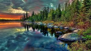 Nature wallpapers, hd images backgrounds, pictures download, beautiful nature video, wildlife, animals, plants, flower, insects, as a style of green photography. 62 Hd Nature Wallpapers 1920 1080