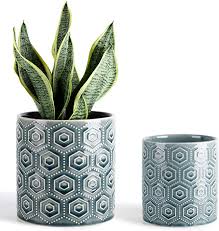 Amazon Com Greenaholics Hexagon Pattern Ceramic Planters 5 6 Inch Plant Pots With Drainage Hole Flower P In 2020 Ceramic Flower Pots Blue Planter Hexagon Pattern
