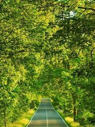 Terlihat seorang anak yang sedang berenang disorot oleh cahaya matahari yang masuk ke dalam gua. Tempat Di Mana Anda Dapat Menemukan Gambar Dan Foto Pemandangan Yang Sangat Keren Sekali Di 2021 Pemandangan Fotografi Alam Pemandangan Khayalan