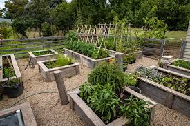 We did not find results for: Raised Garden Beds Shop Online Modbox