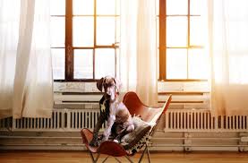 Check spelling or type a new query. Hazte Pet Sitter Asi Puedes Alojarte Gratis En Otros Paises
