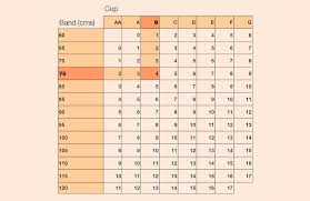 We did not find results for: Amoena Breast Form Fitting Guide Optimum Comfort Performance