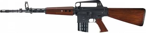 Pin On Guns