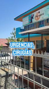 Veterinaria Animaland Hospital 24 horas / cirugías / urgencias